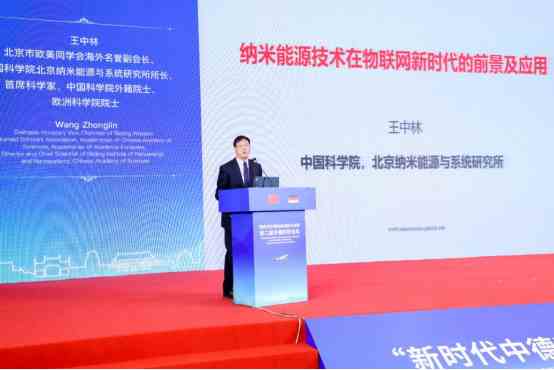王中林，北京市欧美同学会海外名誉副会长、中国科学院北京纳米能源与系统研究所所长、首席科学家、中国科学院外籍院士、欧洲科学院院士。